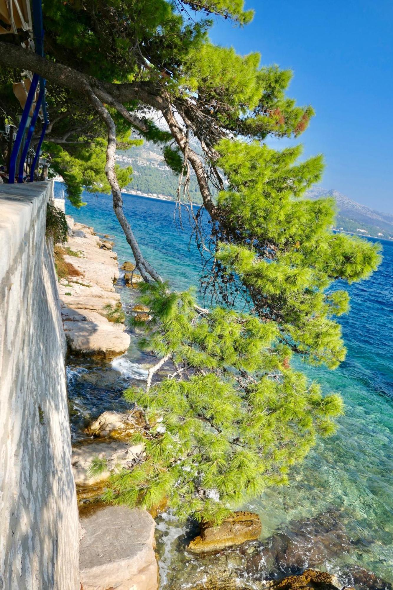 Apartments Mt Residence Zavalatica Dış mekan fotoğraf